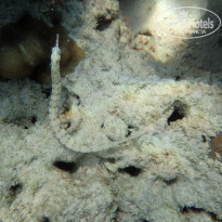 фото из отзыва ID 2114784