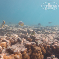 фото из отзыва ID 2114784