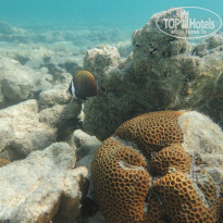 фото из отзыва ID 2114784