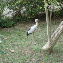 фото из отзыва ID 2114784