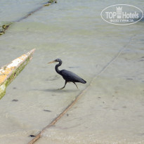 фото из отзыва ID 2114784