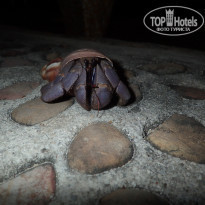 фото из отзыва ID 2114784