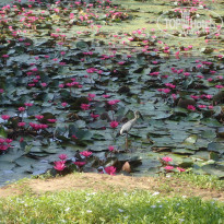 фото из отзыва ID 2114784