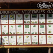 фото из отзыва ID 2114784