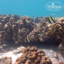 фото из отзыва ID 2114784