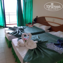 фото из отзыва ID 2112322