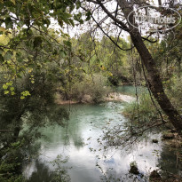 фото из отзыва ID 2114990