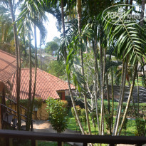 фото из отзыва ID 2114801