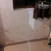 фото из отзыва ID 2115137