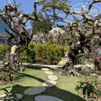 фото из отзыва ID 2115144