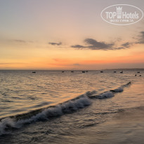 фото из отзыва ID 2115144