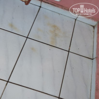 фото из отзыва ID 2115192