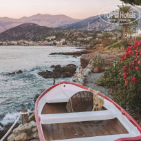 фото из отзыва ID 2115319