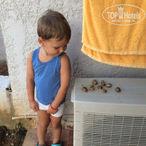 фото из отзыва ID 2115328