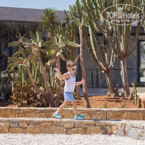 фото из отзыва ID 2115328