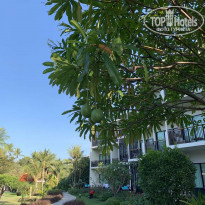 фото из отзыва ID 2115443