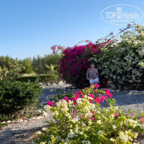 фото из отзыва ID 2115488