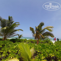 фото из отзыва ID 2115516