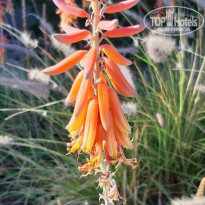 фото из отзыва ID 2115488