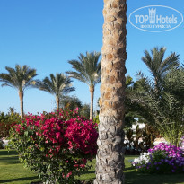 фото из отзыва ID 2115488