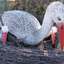 фото из отзыва ID 2115546