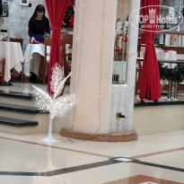 фото из отзыва ID 2115546