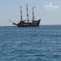 фото из отзыва ID 2115571