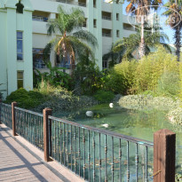 фото из отзыва ID 2115573