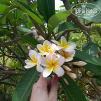 фото из отзыва ID 2115213