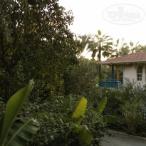 фото из отзыва ID 2115713