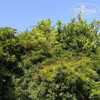 фото из отзыва ID 2115713