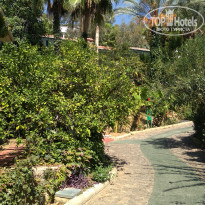 фото из отзыва ID 2115713