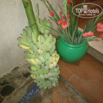 фото из отзыва ID 2115739