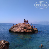 фото из отзыва ID 2115772