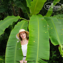 фото из отзыва ID 2115829