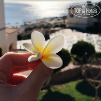 фото из отзыва ID 2115832