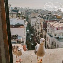 фото из отзыва ID 2115999