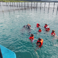 фото из отзыва ID 2116026