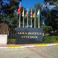 фото из отзыва ID 2116061