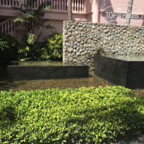 фото из отзыва ID 2116042