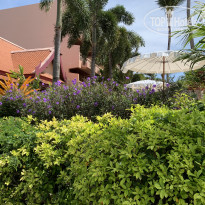 фото из отзыва ID 2116072