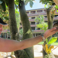 фото из отзыва ID 2116074