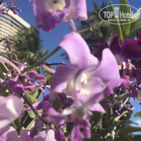 фото из отзыва ID 2116073