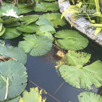 фото из отзыва ID 2116042