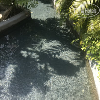 фото из отзыва ID 2116042