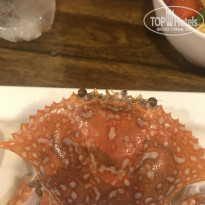 фото из отзыва ID 2116042