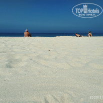 фото из отзыва ID 2116066