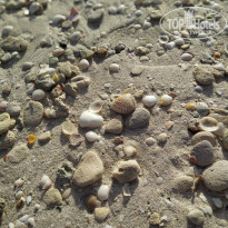 фото из отзыва ID 2116066