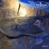 фото из отзыва ID 2116066