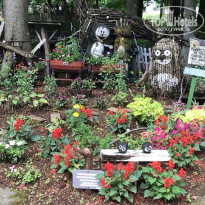 фото из отзыва ID 2111378